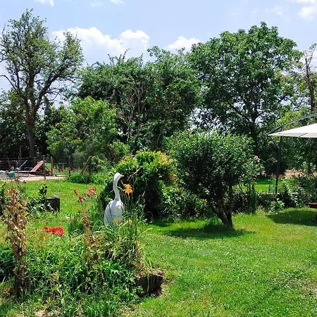 Cocagne ! Maison A La Campagne, Piscine Privative *